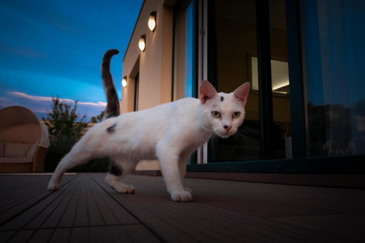 Sea Cats' Villas Sutivan Dış mekan fotoğraf