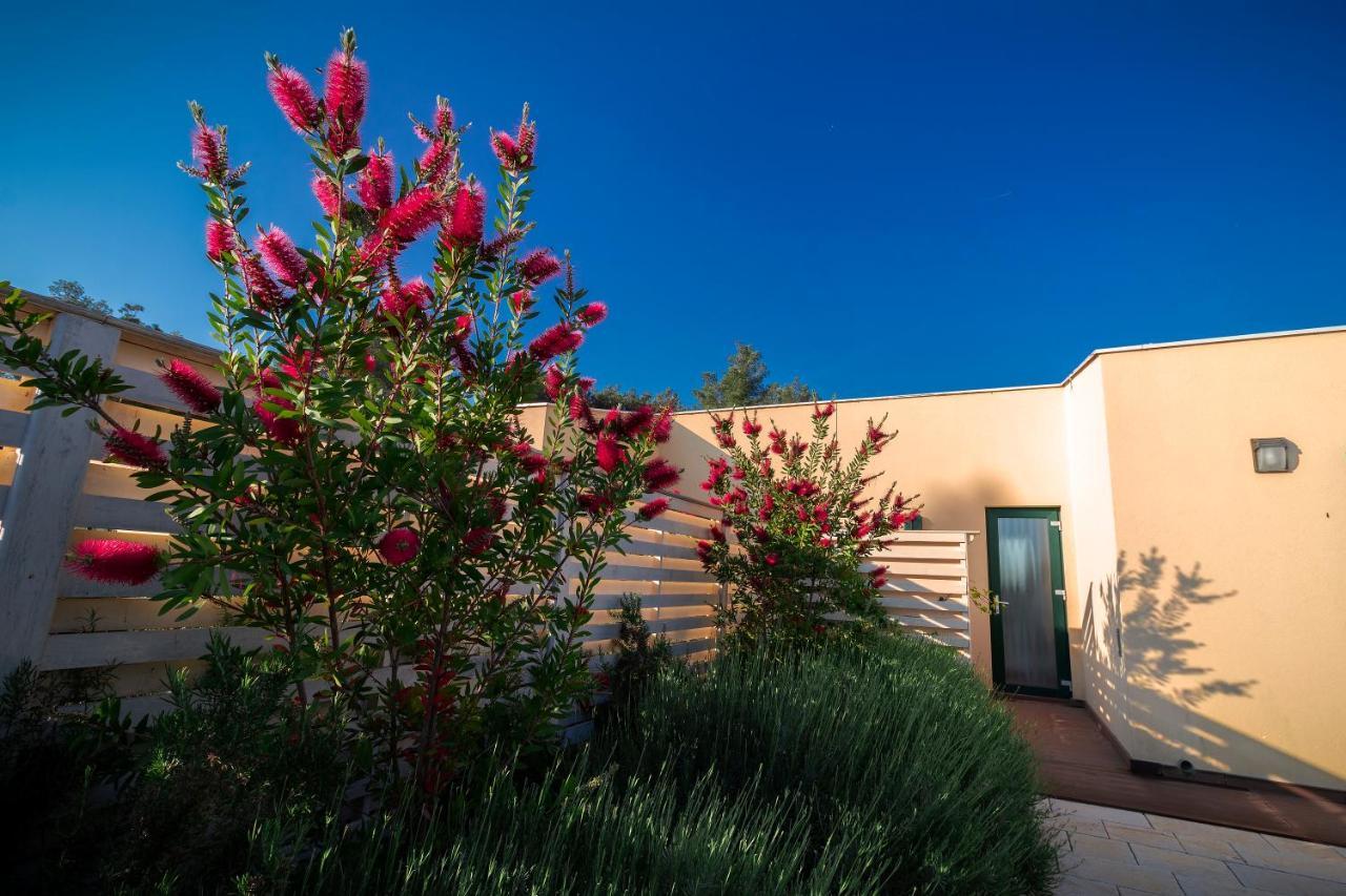 Sea Cats' Villas Sutivan Dış mekan fotoğraf